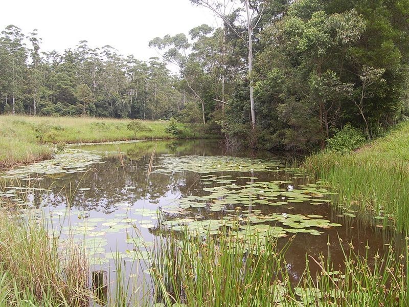 316 Bellingen Street, Bowraville NSW 2449