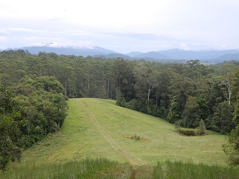 316 Bellingen Street, Bowraville NSW 2449