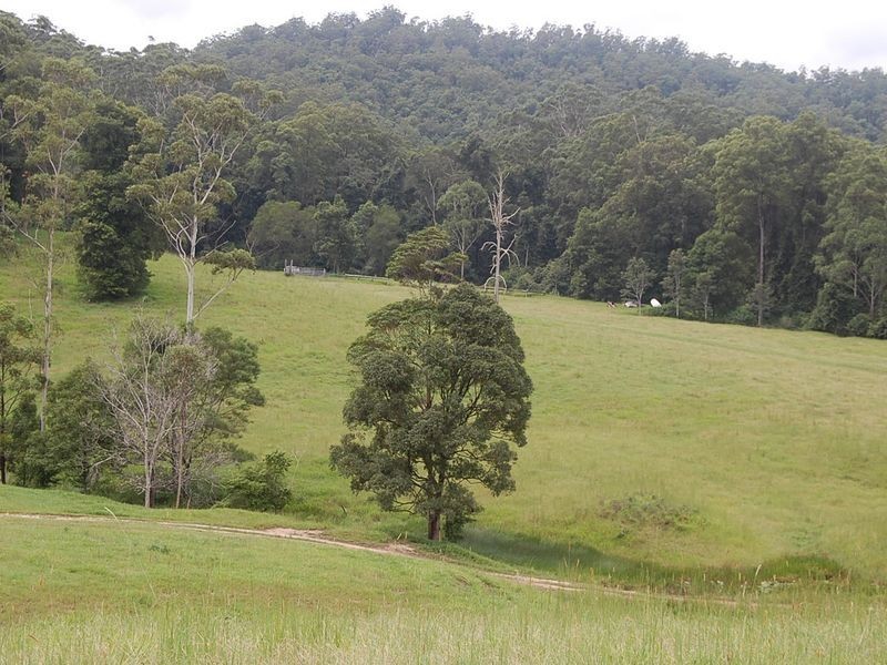 316 Bellingen Street, Bowraville NSW 2449