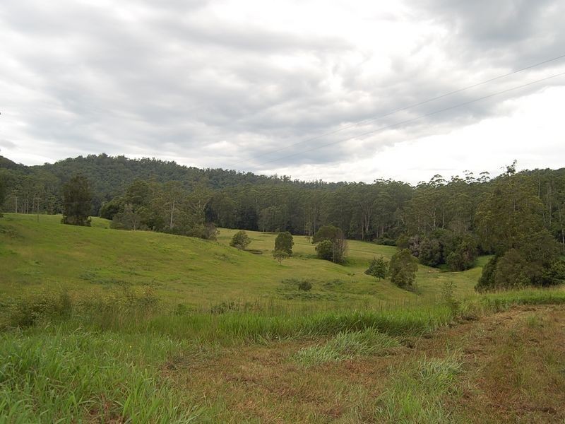 316 Bellingen Street, Bowraville NSW 2449