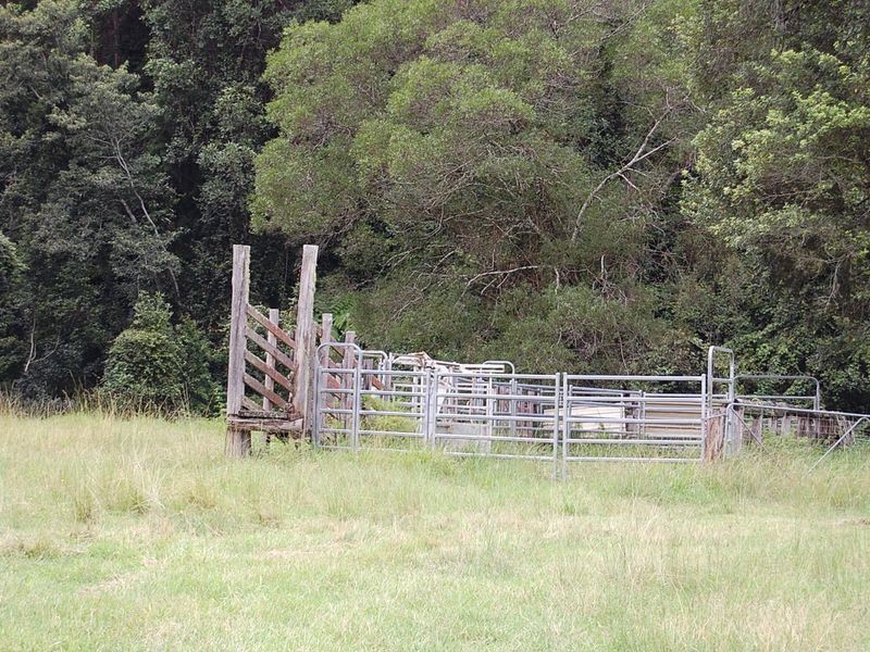 316 Bellingen Street, Bowraville NSW 2449