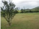 78 Kennaicle Creek Road, Missabotti NSW 2449