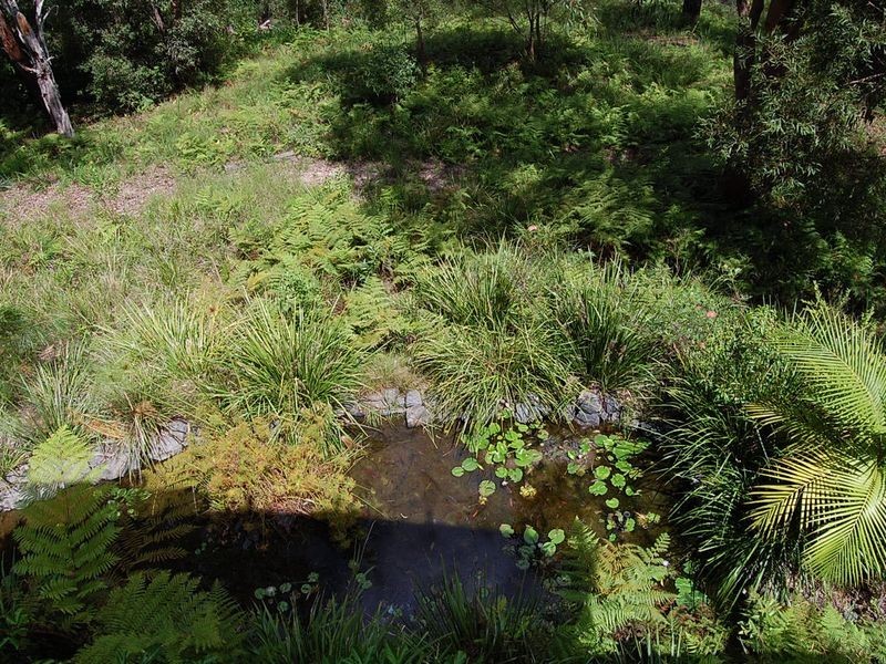 557 Sulivans Road, Valla NSW 2448