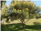 37 Hillview Drive, Macksville NSW 2447