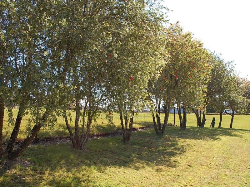 37 Hillview Drive, Macksville NSW 2447