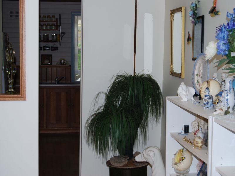 2 Woods Lane, Nambucca Heads NSW 2448