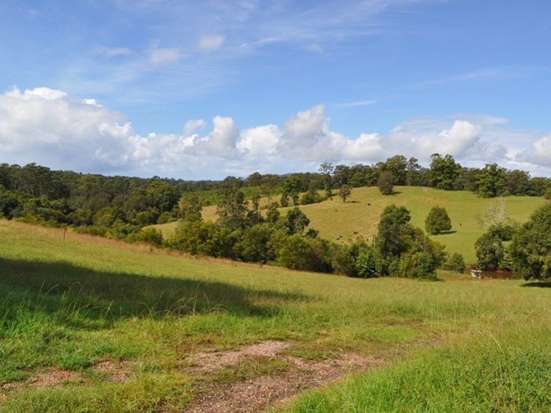 174 Congarinni Rd North, Macksville NSW 2447