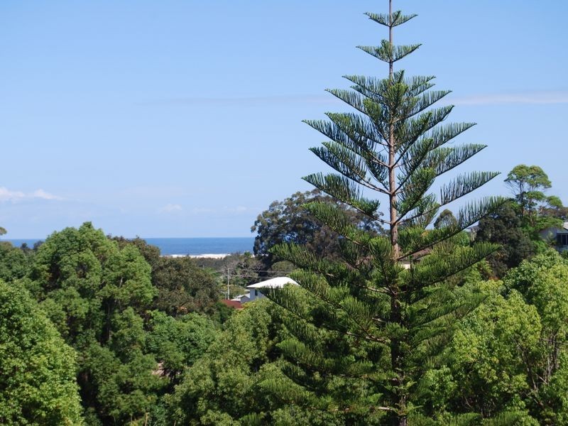 49 Mann Street, Nambucca Heads NSW 2448