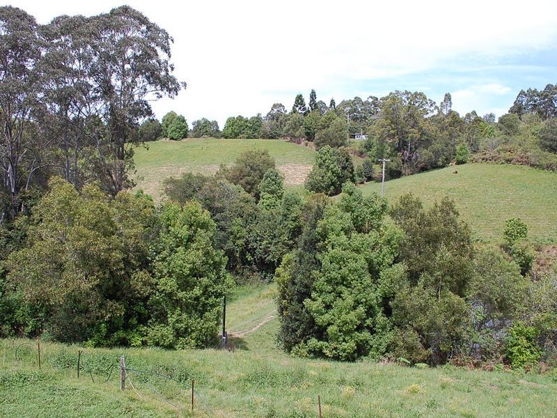 493 North Arm Road, Argents Hill NSW 2449