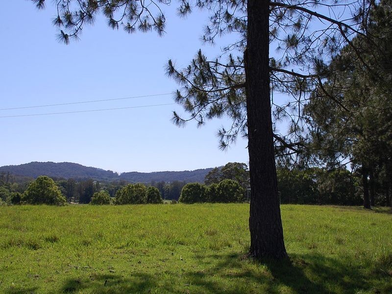 25 Borefield Rd, Bowraville NSW 2449