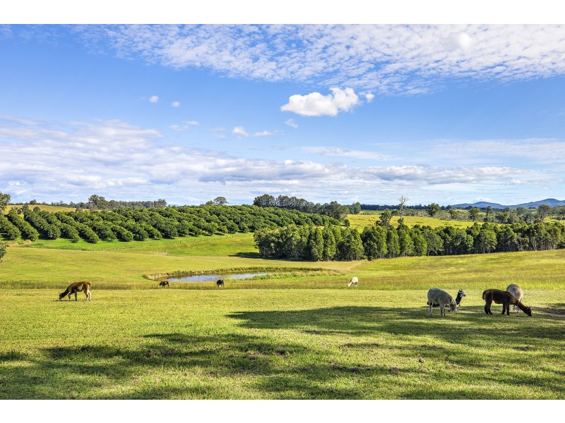 44 Jones Road, Eungai Rail NSW 2441