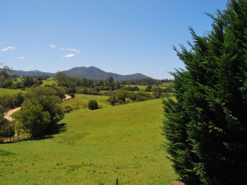Utungun NSW 2447