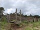147 Lower Buckrabendinni Road, Bowraville NSW 2449