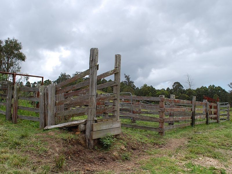 147 Lower Buckrabendinni Road, Bowraville NSW 2449