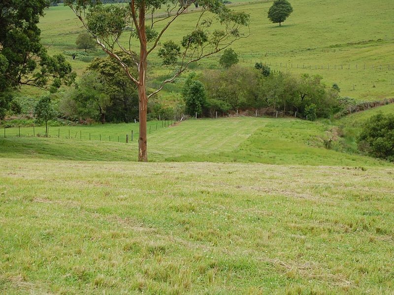 147 Lower Buckrabendinni Road, Bowraville NSW 2449