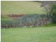 147 Lower Buckrabendinni Road, Bowraville NSW 2449