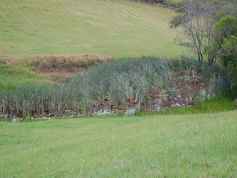 147 Lower Buckrabendinni Road, Bowraville NSW 2449