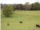 19 Hillview Drive, Congarinni North NSW 2447