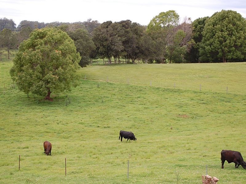 19 Hillview Drive, Congarinni North NSW 2447