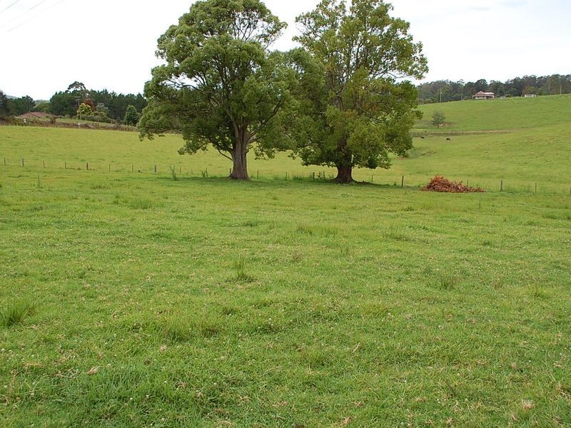 19 Hillview Drive, Congarinni North NSW 2447