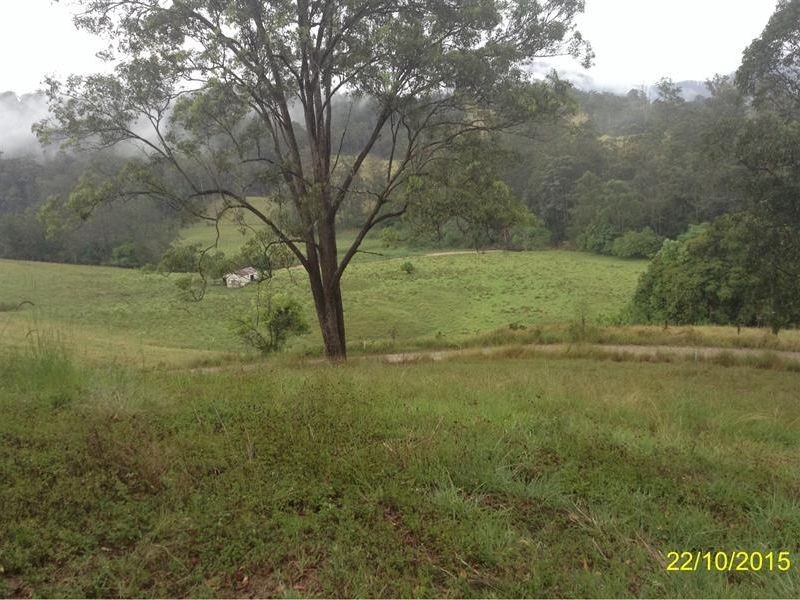 207 Upper Buckrabendinni Road, Bowraville NSW 2449