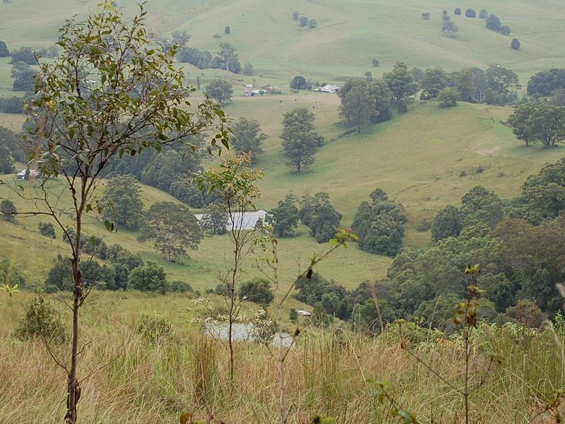 Lots 1/2/3 North Bank Road, Yarranbella NSW 2447