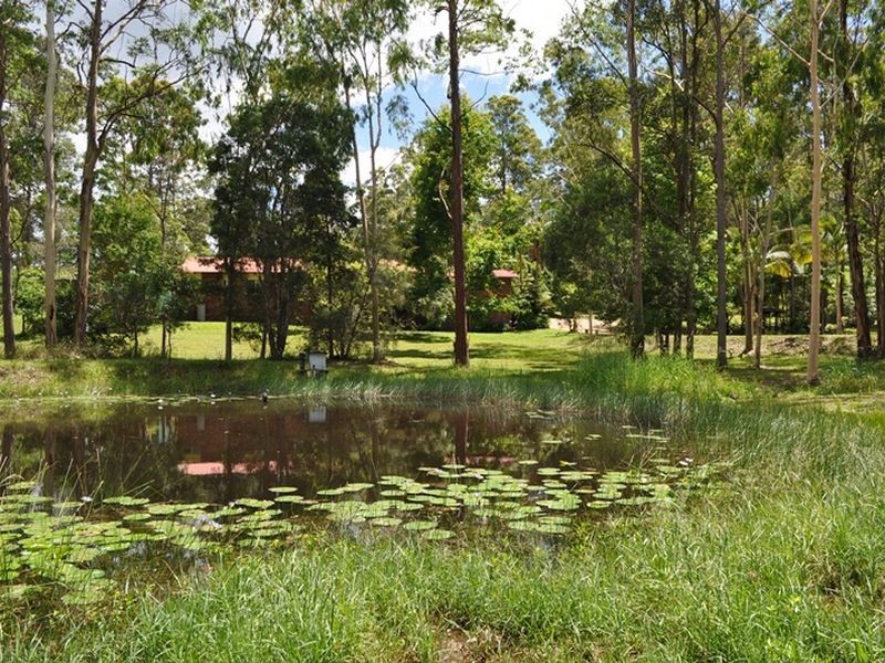 373 Wirrimbi Road, Nambucca Heads NSW 2448