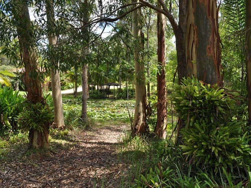 373 Wirrimbi Road, Nambucca Heads NSW 2448