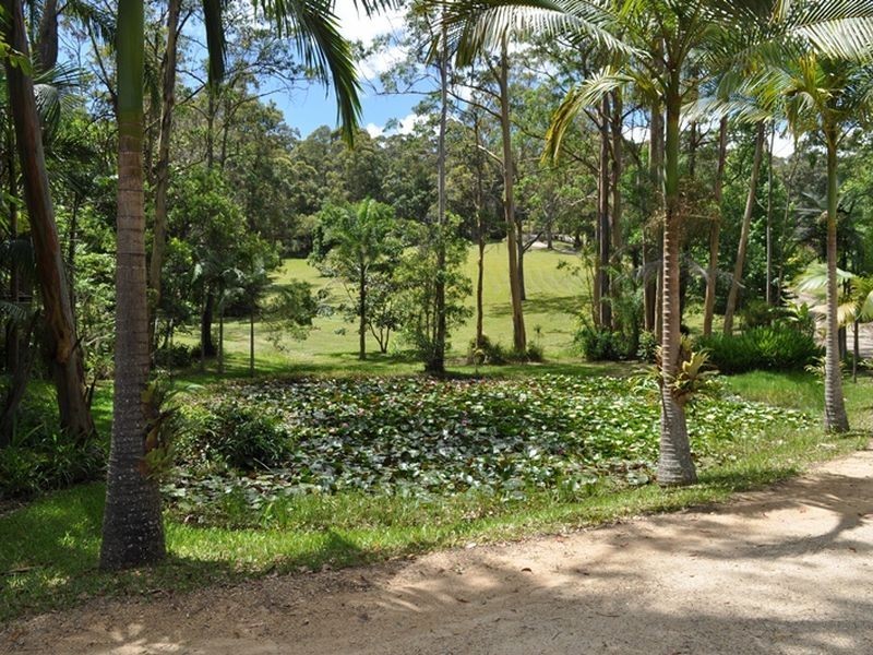 373 Wirrimbi Road, Nambucca Heads NSW 2448