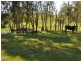 69 Maras Creek Rd, Macksville NSW 2447