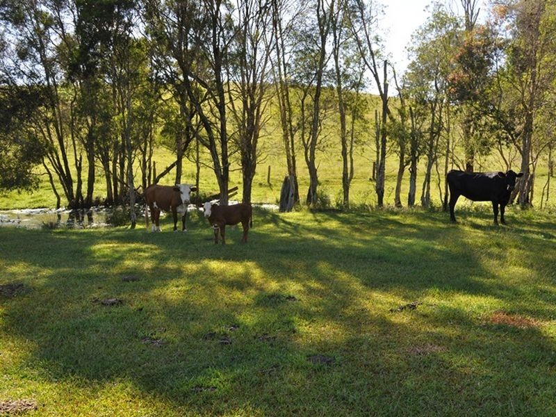 69 Maras Creek Rd, Macksville NSW 2447