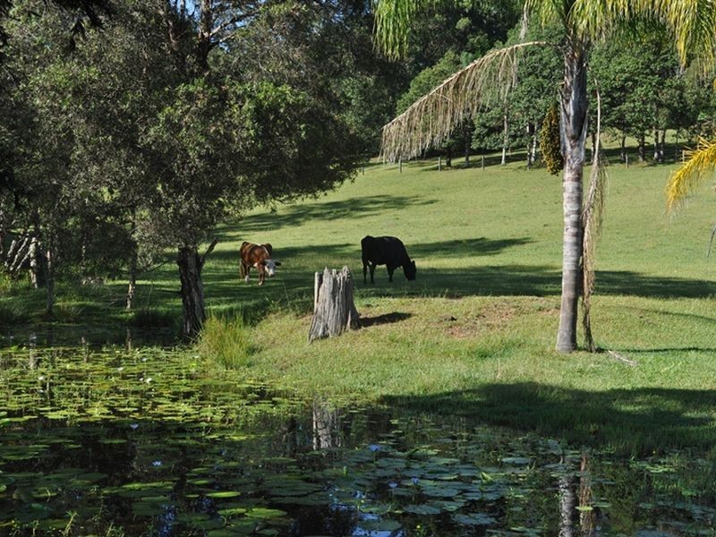 69 Maras Creek Rd, Macksville NSW 2447