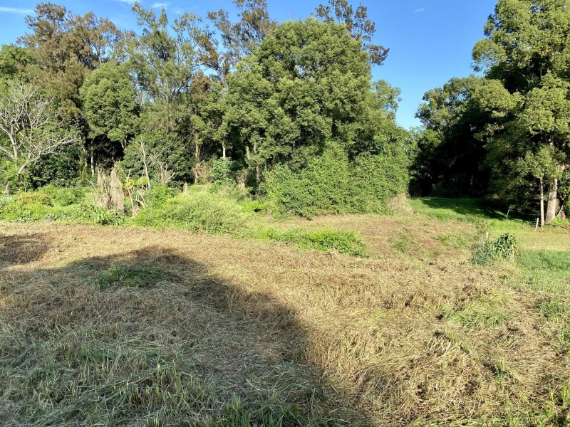 15 Adam Lane, Bowraville NSW 2449