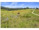 436 Maras Creek Road, Utungun NSW 2447