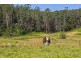 436 Maras Creek Road, Utungun NSW 2447