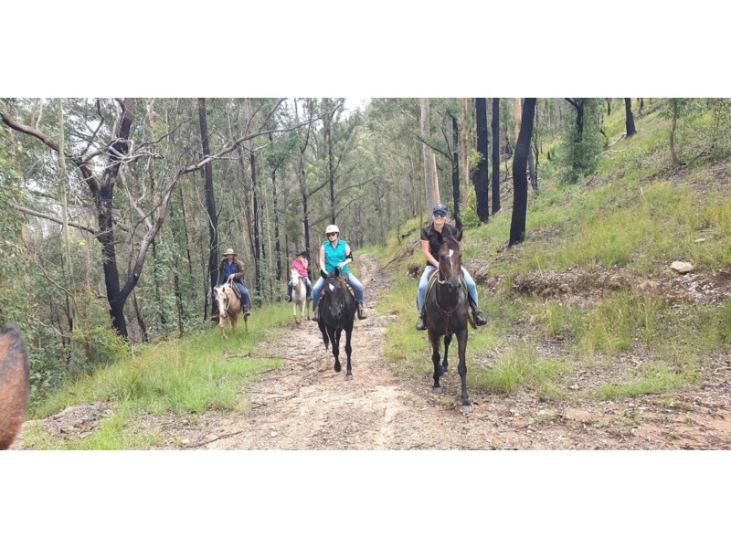 436 Maras Creek Road, Utungun NSW 2447