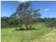 436 Maras Creek Road, Utungun NSW 2447