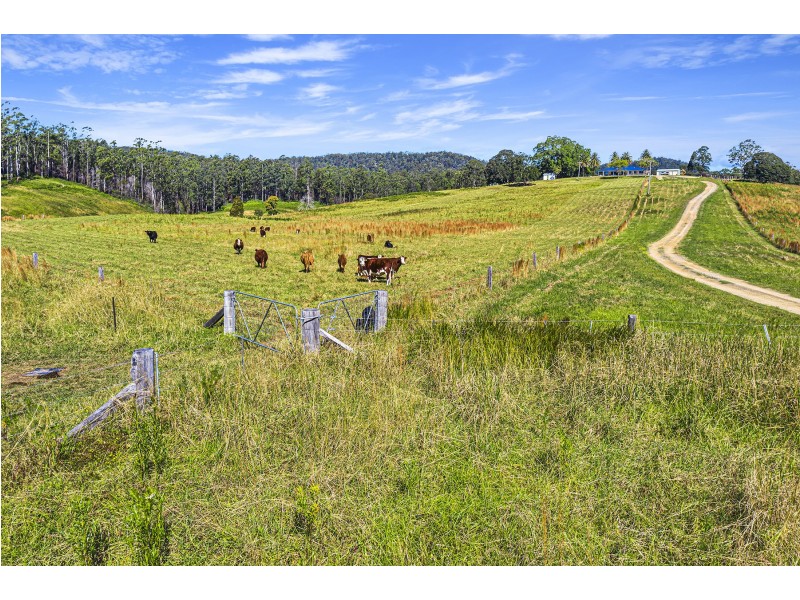 436 Maras Creek Road, Utungun NSW 2447