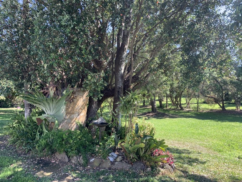 91/143 Nursery Road, Macksville NSW 2447