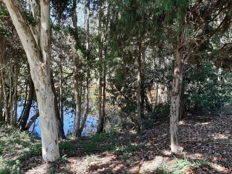 Lot 2 Uriti Road, Macksville NSW 2447
