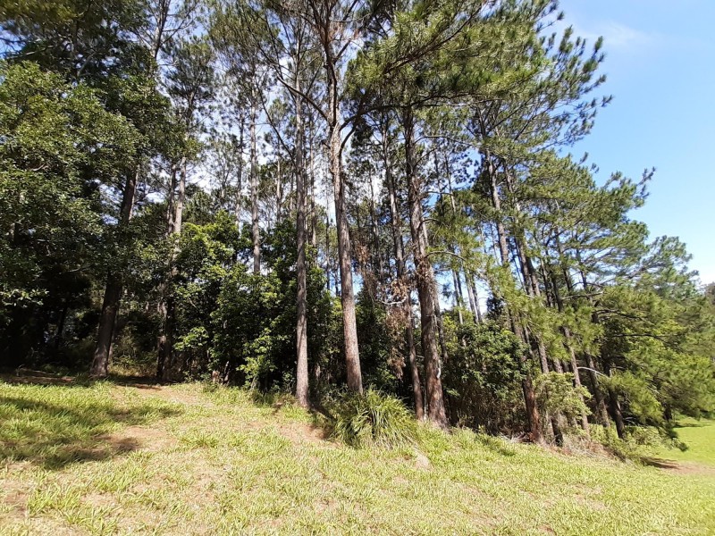 Lot 2 Uriti Road, Macksville NSW 2447