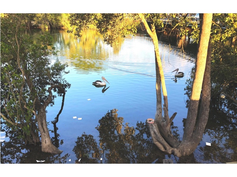 11 Sturdee Street, Macksville NSW 2447