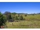 382 Welshs Creek Road, Talarm NSW 2447