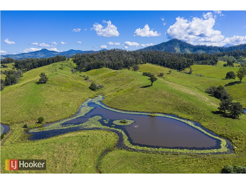 382 Welshs Creek Road, Talarm NSW 2447