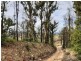 323 Williams Hill Road, Yarranbella NSW 2447