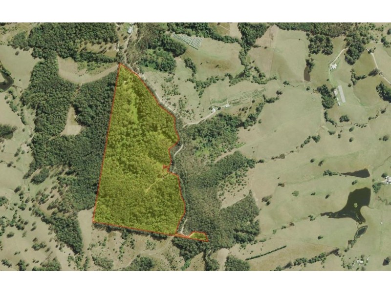 323 Williams Hill Road, Yarranbella NSW 2447