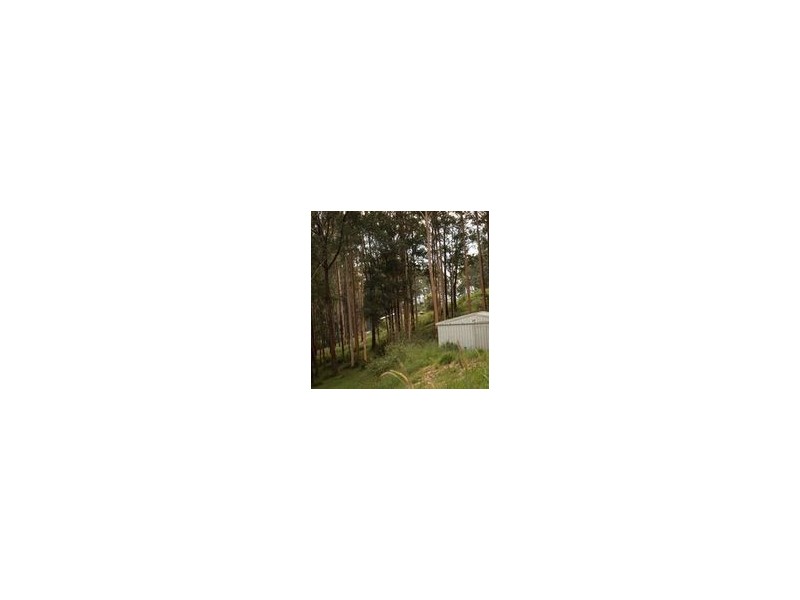 162 Bald Hill Road, Macksville NSW 2447