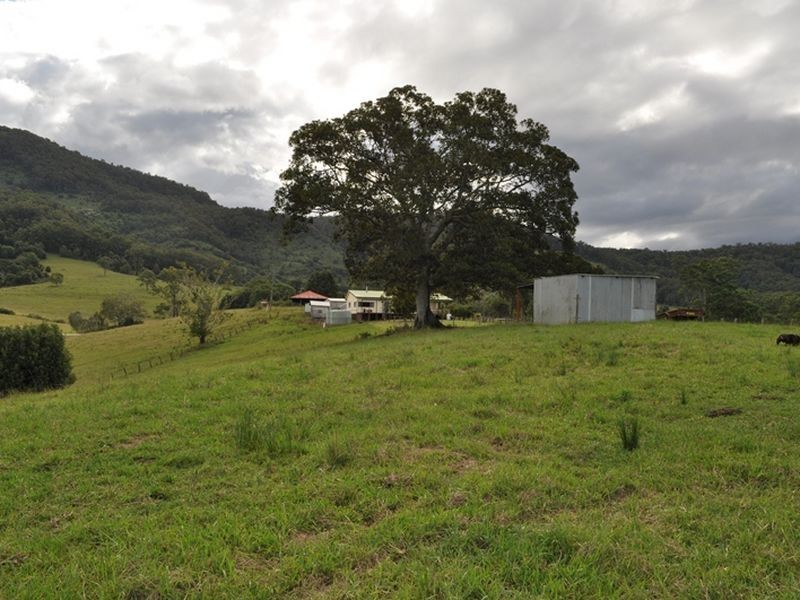121 Whites Road via Yarranbella, Macksville NSW 2447