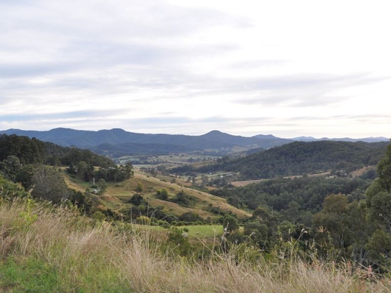 Lot 52/522 Greenhills Road, Taylors Arm NSW 2447