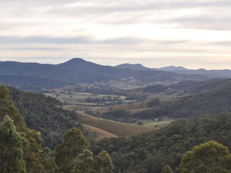 Lot 52/522 Greenhills Road, Taylors Arm NSW 2447
